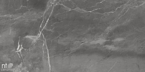 NS612NTT9027L Керамогранит Slate Black 60x120