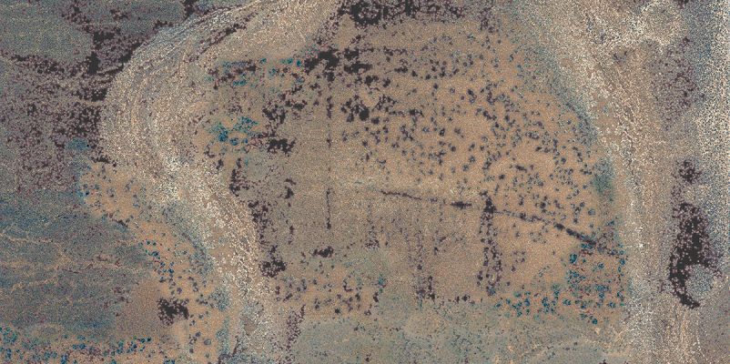 Oxido Green Matt 60x120