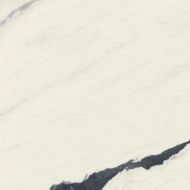 610010002717 Forte dei Marmi Panda White Rett 80x80