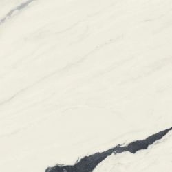 610010002717 Forte dei Marmi Panda White Rett 80x80