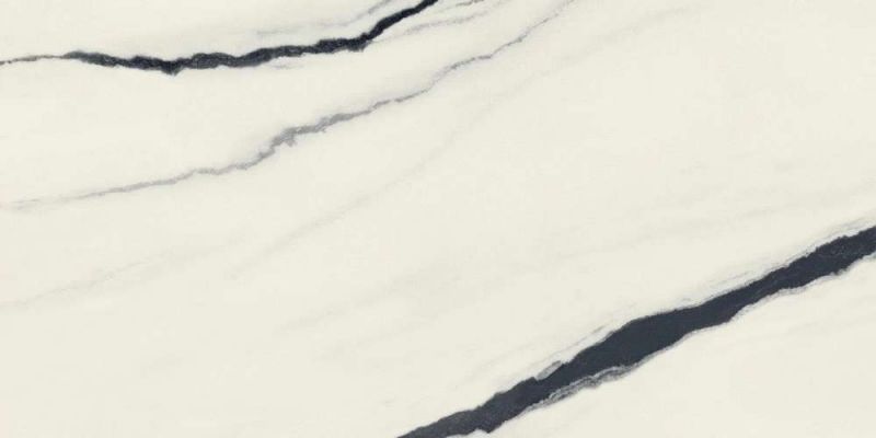 610015000656 Forte dei Marmi Panda White Rett Cer 60x120