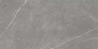 610015000657 Forte dei Marmi Elegant Grey Rett Cer 60x120