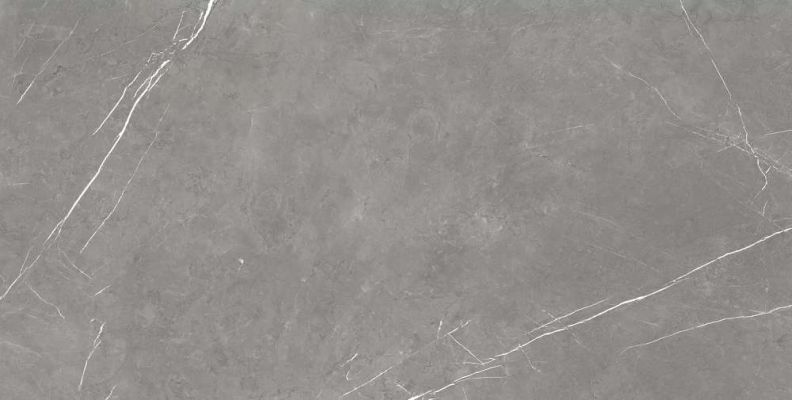 610015000657 Forte dei Marmi Elegant Grey Rett Cer 60x120
