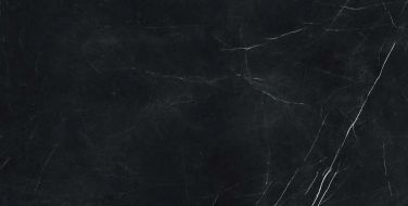 610015000660 Forte dei Marmi Elegant Black Rett Cer 60x120