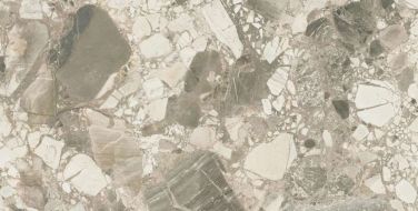 610010002715 Forte dei Marmi Ceppo Apuano Cream Rett 80x160