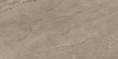 610010002711 Forte dei Marmi Mystic Grey Rett 80x160