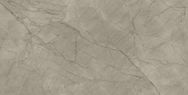 Balsamia Grey Carving 60x120