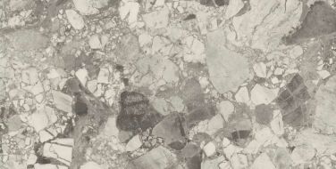 610010002714 Forte dei Marmi Ceppo Apuano Pearl Rett 80x160