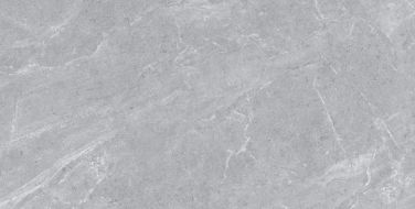 Ascot Grey Matt 60х120