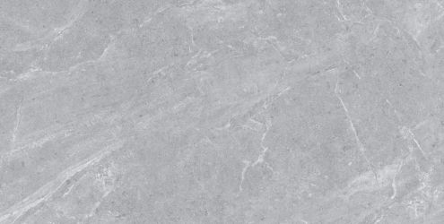 Ascot Grey Matt 60х120