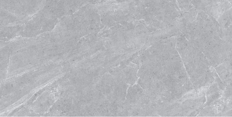 Ascot Grey Matt 60х120