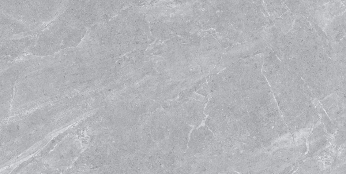 Ascot Grey Matt 60х120