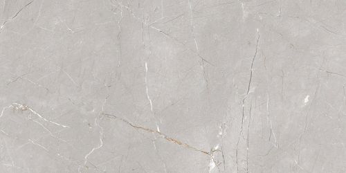 Larice Grey 60x120