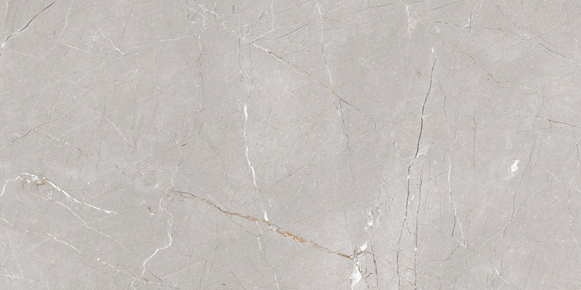 Larice Grey 60x120