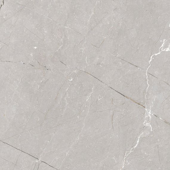 Larice Grey 60x60