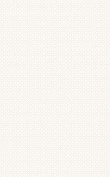 А6А051 Verdelato Ivory 25х40