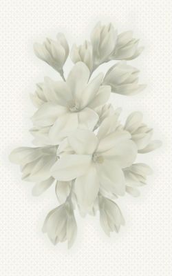 А6А301 Декор Verdelato Magnolia 25х40