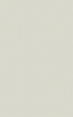 А6R061 Verdelato Olive 25х40