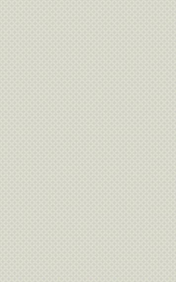 А6R061 Verdelato Olive 25х40