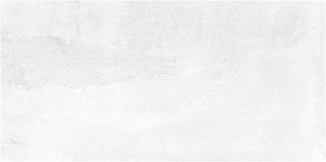 Бордо светлая 250x500