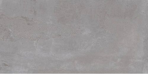 Бордо серая 250x500
