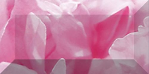 Бордюр рельефный Peony br1020D281-1 20х10