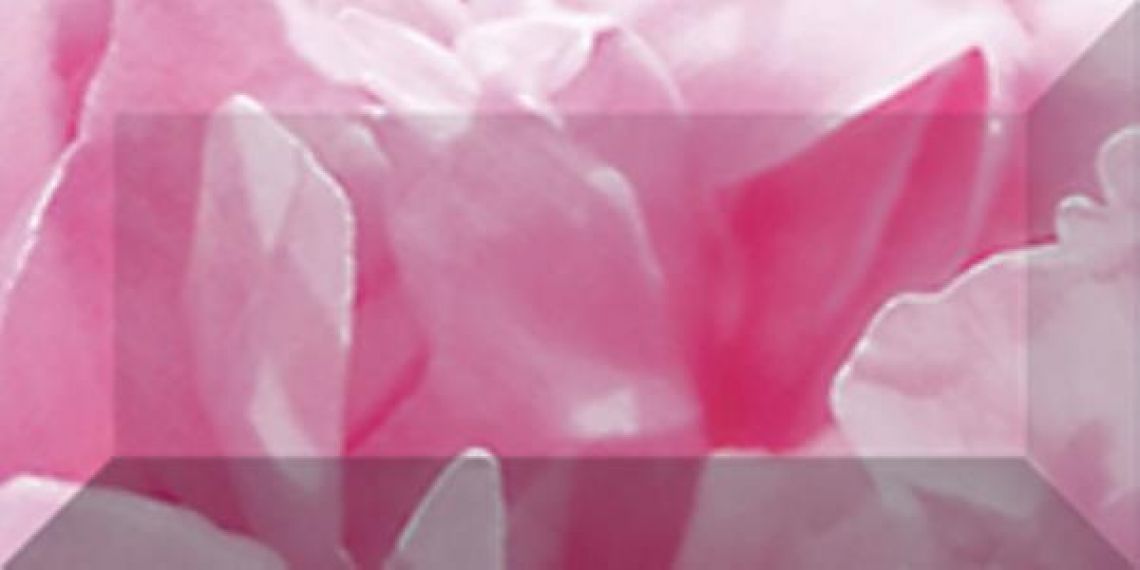 Бордюр рельефный Peony br1020D281-1 20х10