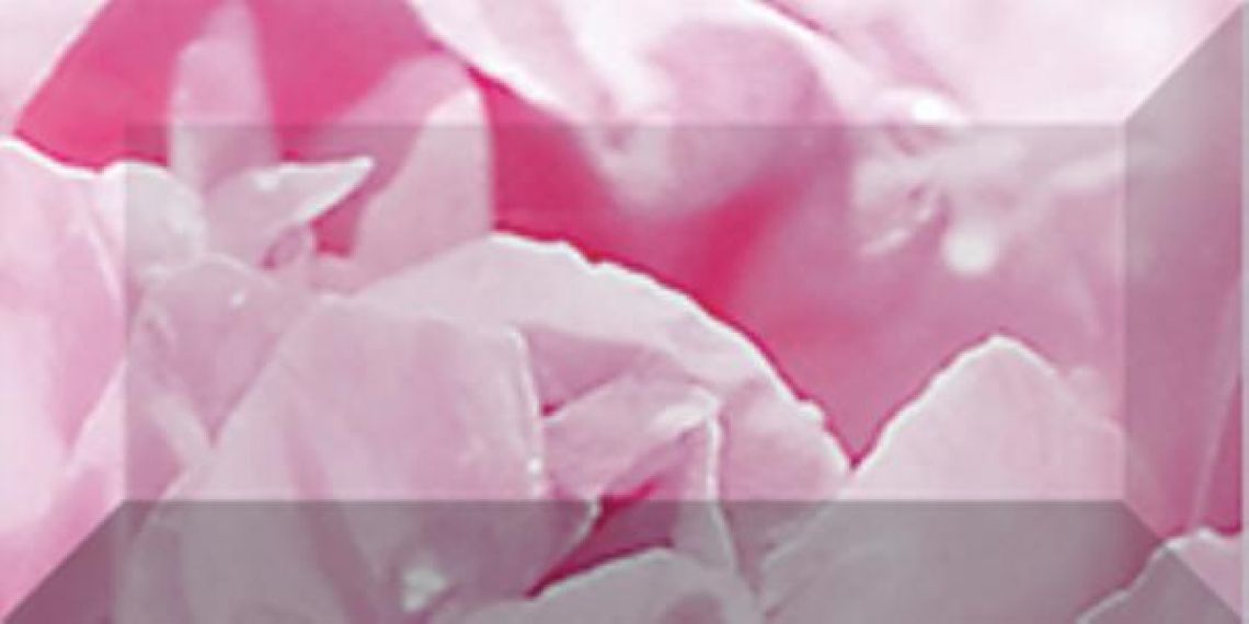 Бордюр рельефный Peony br1020D281-2 20х10