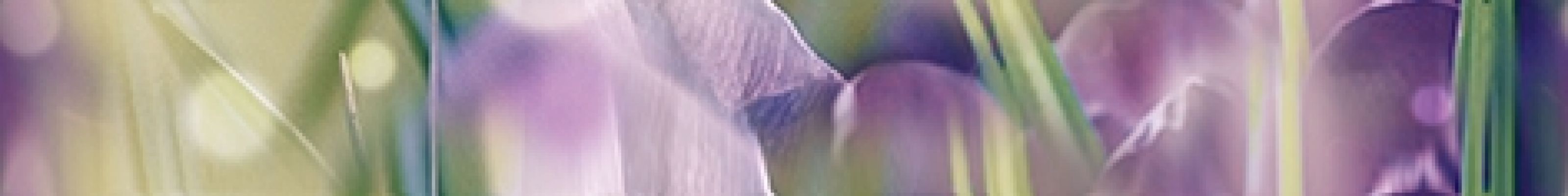 Бордюр Crocus B400D286 40х5