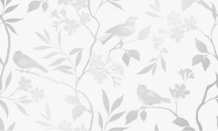 Декор Blanc white 01 30х50