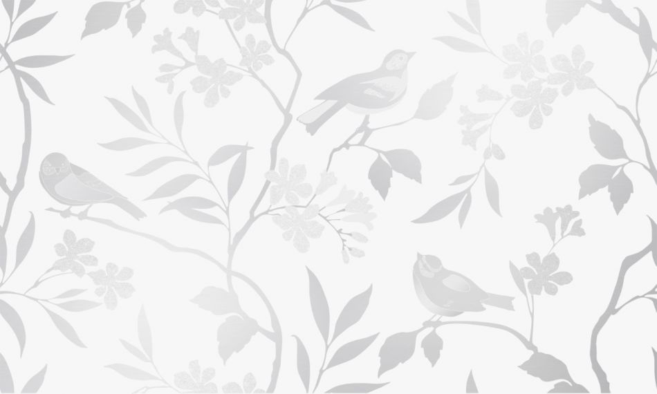 Декор Blanc white 01 30х50