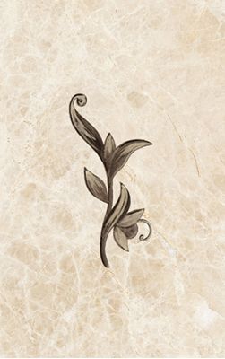Декор Illyria marrone 25x40