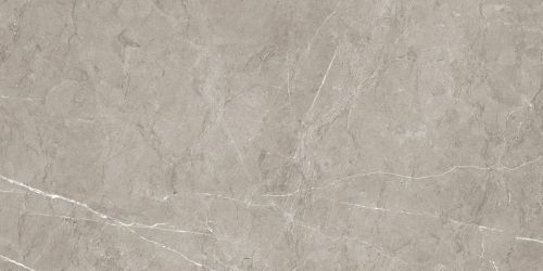 Керамогранит 004.869.0002.14631 Sense Gris Polished Rec 60x120