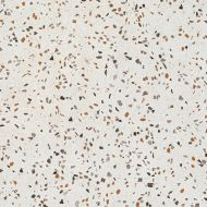 Керамогранит 017.840.0056.14634 Terrazzo Terra 60x60