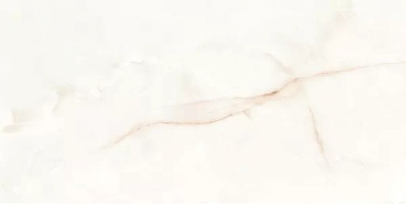 Керамогранит 017.869.0108.00283 ONIX WHITE compacglass Rect. 60x120