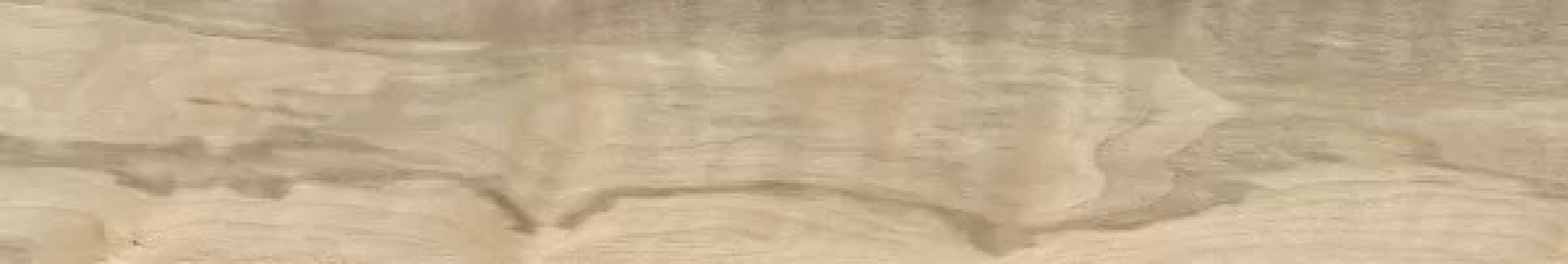 Керамогранит 074.922.0119.13262 Walnut Sand 20x120