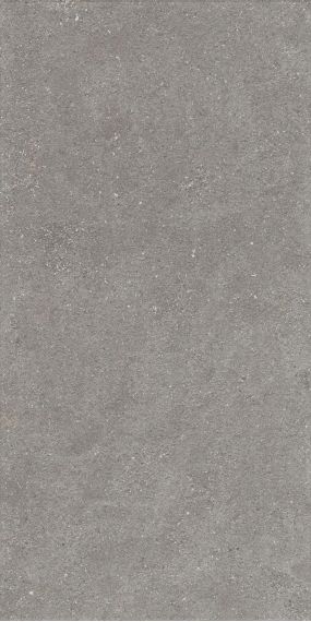Керамогранит 1224 Graniti Grey Matt Ghr 120x60