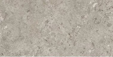 Керамогранит 44BZP39 Bierzo Gris Seda 60х120