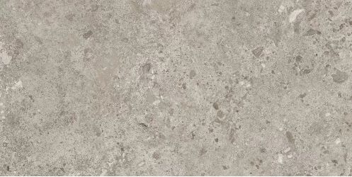 Керамогранит 44BZP39 Bierzo Gris Seda 60х120