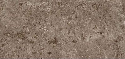 Керамогранит 78RC27P Coverlam Artic Moka Pulido 120x260