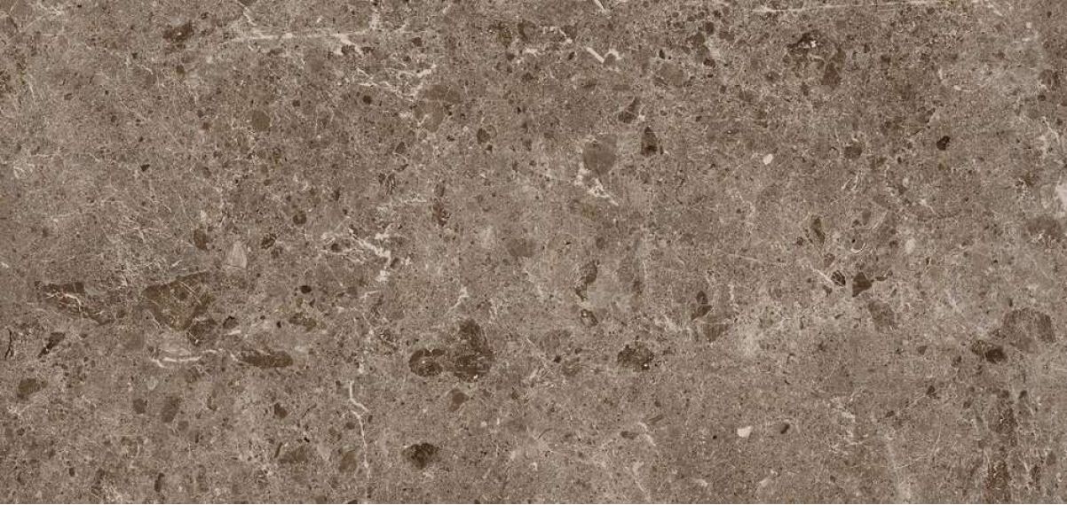Керамогранит 78RC27P Coverlam Artic Moka Pulido 120x260