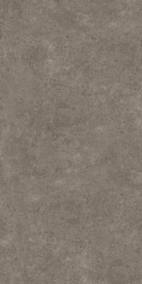 Керамогранит 80PF24E Porfido Brown 5.6mm 60x120