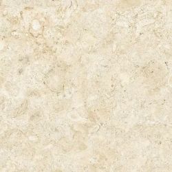 Керамогранит 80RB43E Coralina Coverlam Blanco 120x120