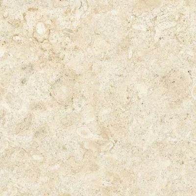 Керамогранит 80RB43E Coralina Coverlam Blanco 120x120
