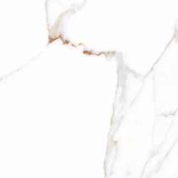 Alex Calacatta Polished 60x60