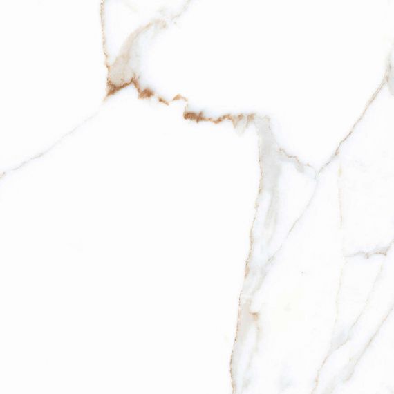Alex Calacatta Polished 60x60