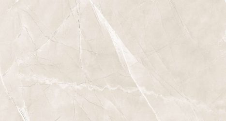 Armani Bianco Polished 60x120
