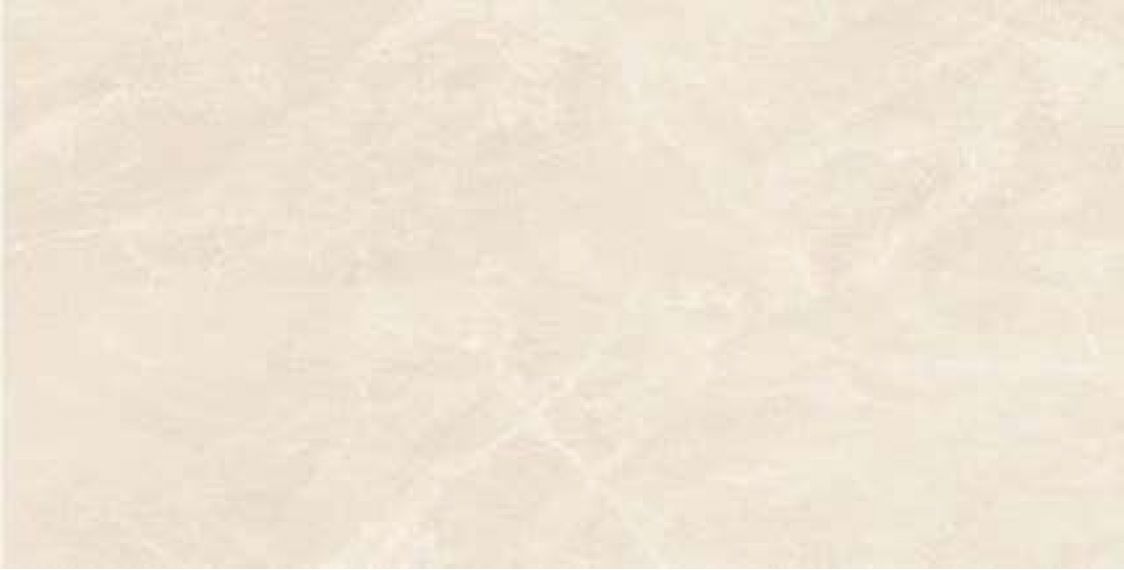 CBP05648M Marbles 5.5 60x120