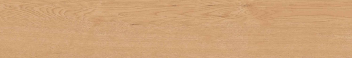 Керамогранит CW04 Classic Wood Honey Oak Неполированный Рект. 19,4х120х9