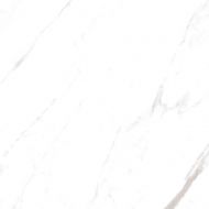 Calacatta Domino Polished 60x60